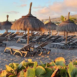 Sunshine , Costa Adeje (Tenerife) Spain